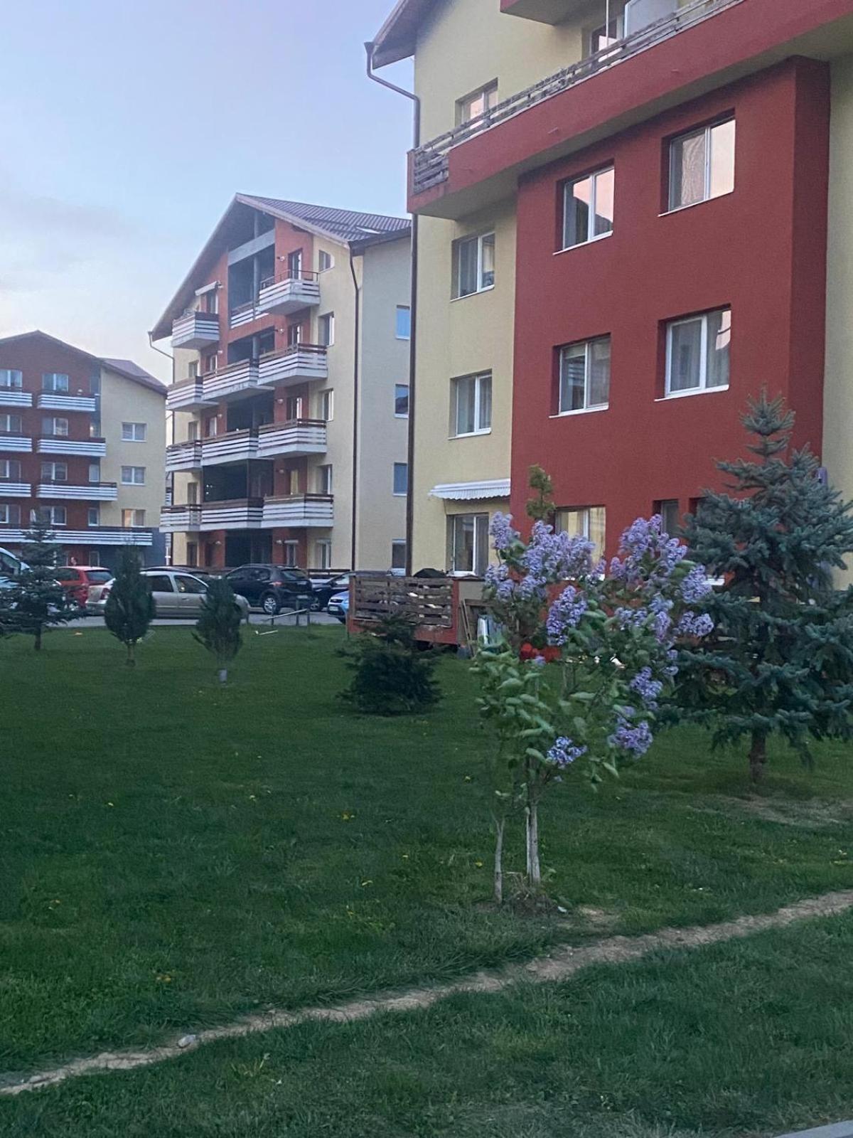 Apartament Fabri's